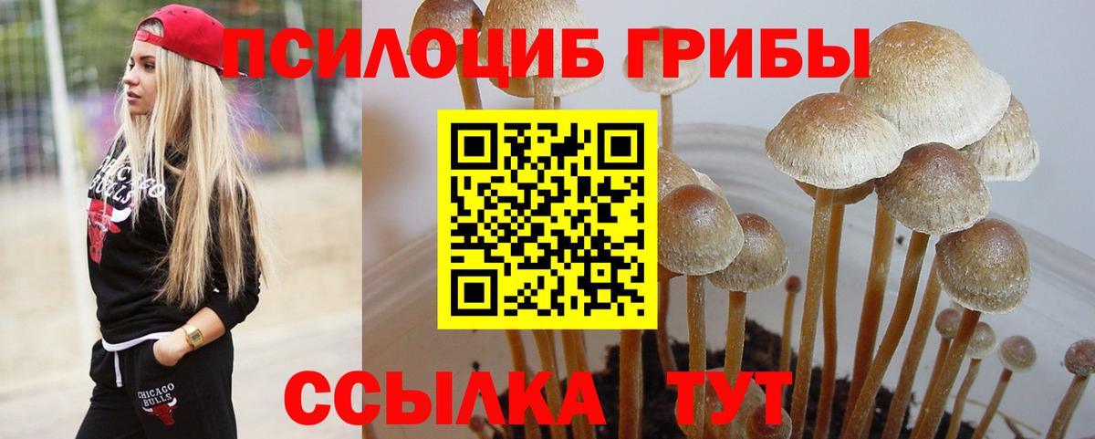 Галлюциногенные грибы прущие грибы  Вход с VPN  Владимир 